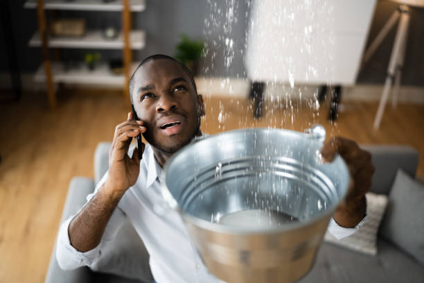 Best Flood damage cleanup  in Surprise, AZ