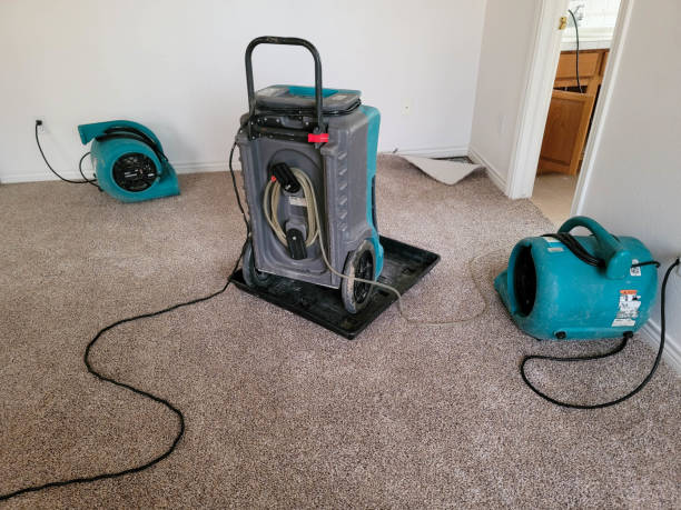 Best Water damage repair service  in Surprise, AZ