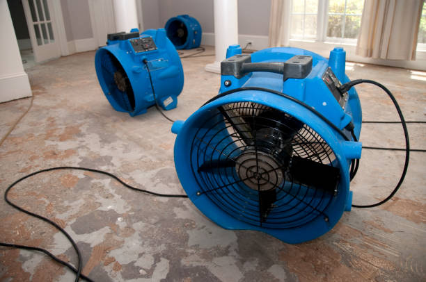 Best Commercial water damage restoration  in Surprise, AZ