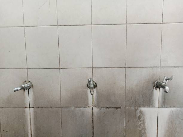 Best Flood restoration services  in Surprise, AZ