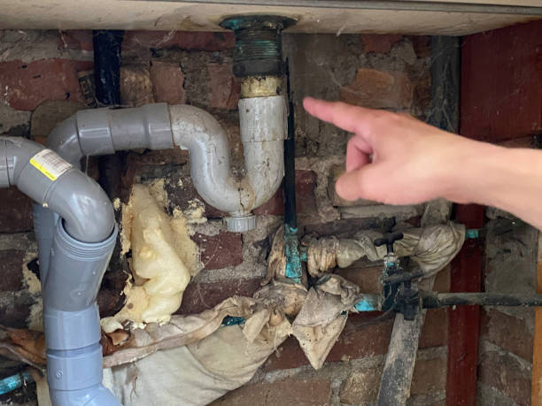 Best Sewage cleanup and water damage restoration  in Surprise, AZ