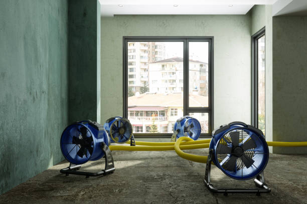 Best Ceiling water damage repair  in Surprise, AZ