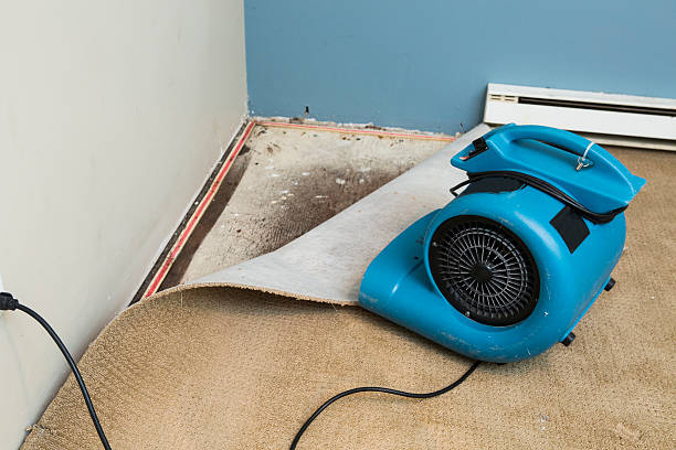 Best Emergency water damage restoration  in Surprise, AZ